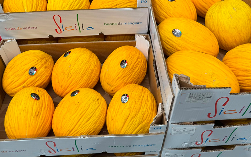 Meloni gialletti - Sicilia - 0,90 euro al chilogrammo